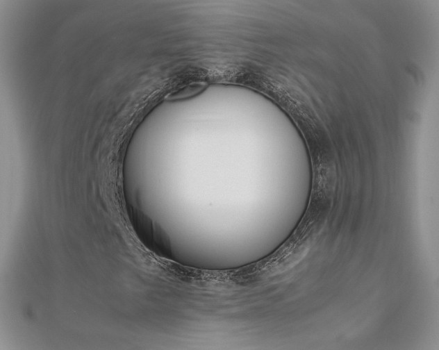 X0000112041249200908101353