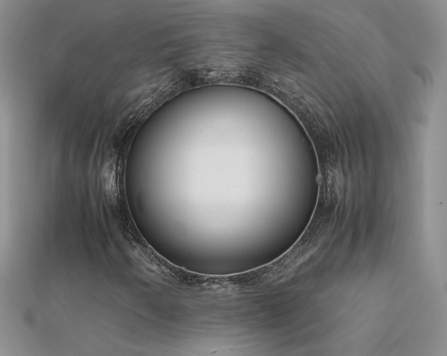 X0000112041250200908101353