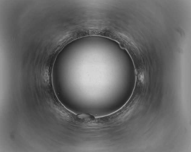 X0000112041252200908101353