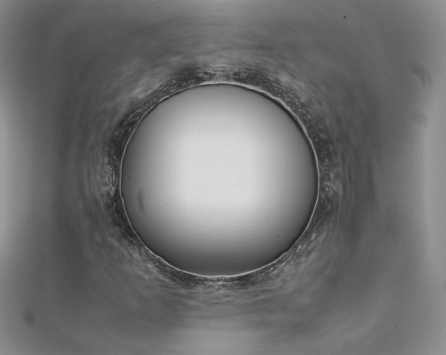 X0000112041253200908101353