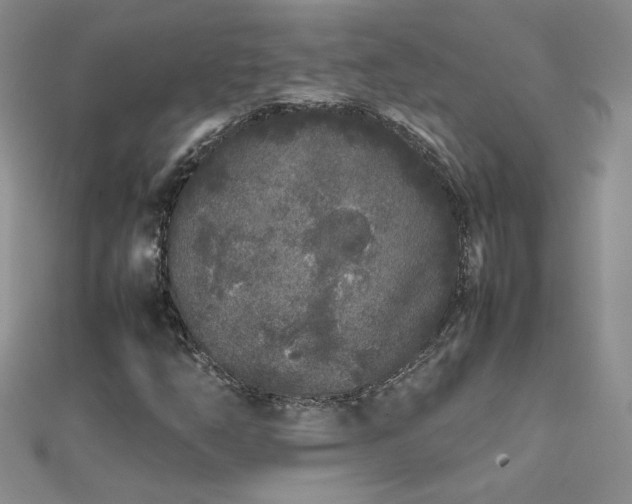 X0000112041254200908101353