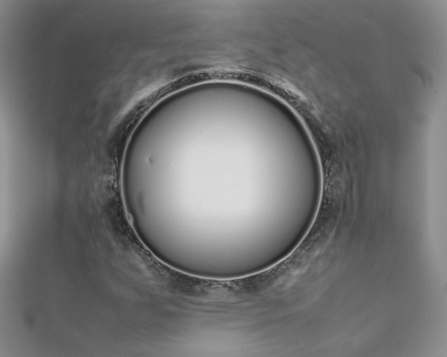 X0000112041255200908101353