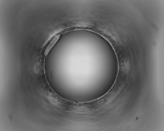 X0000112041256200908101353