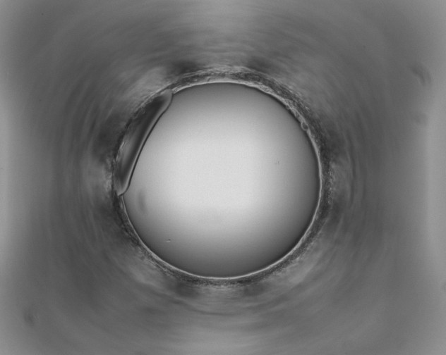 X0000112041257200908101353