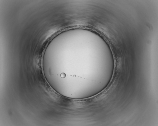 X0000112041258200908101353