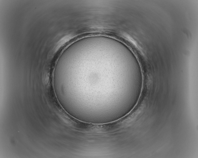 X0000112041259200908101353