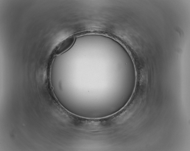 X0000112041261200908101353