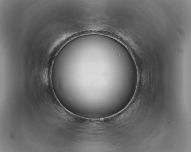 X0000112041262200908101353