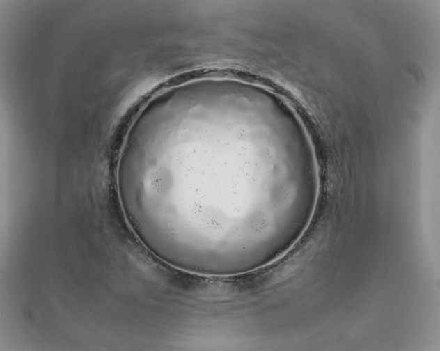 X0000112041263200908101353