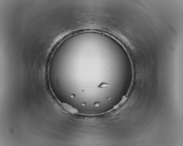 X0000112041264200908101353