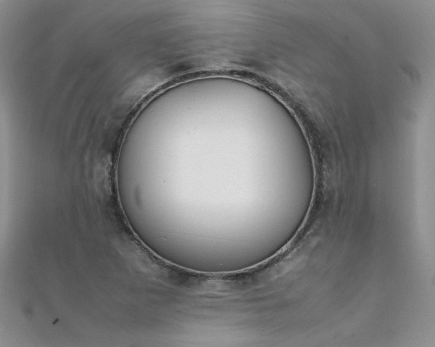 X0000112041265200908101353