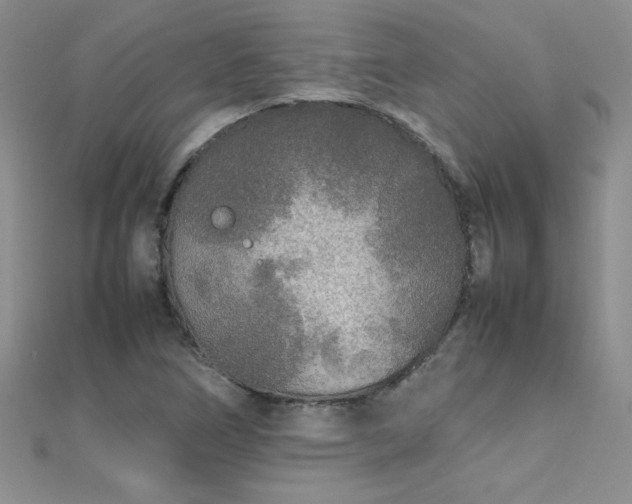 X0000112041266200908101353