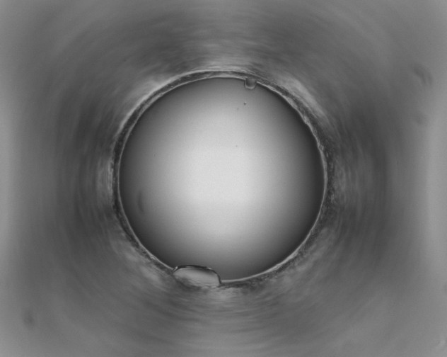 X0000112041268200908101353