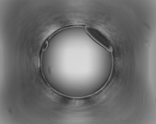 X0000112041269200908101353