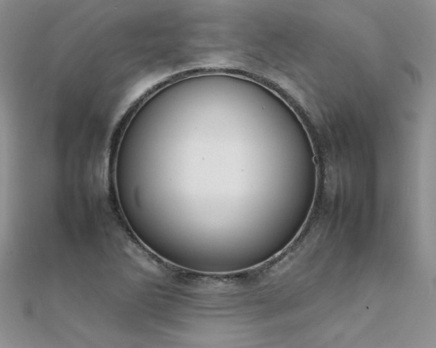 X0000112041270200908101353