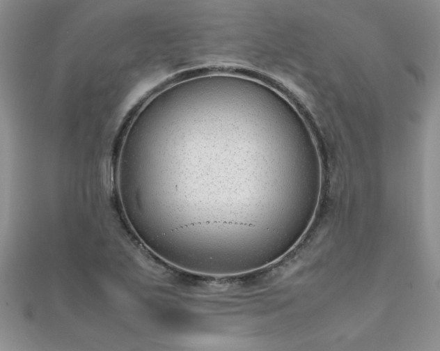 X0000112041271200908101353