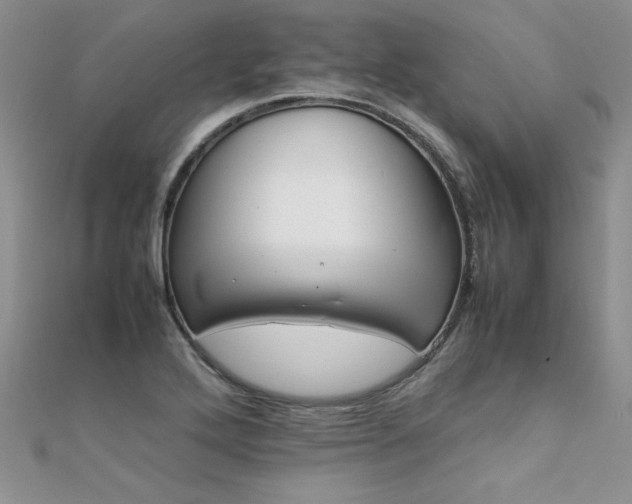 X0000112041272200908101353