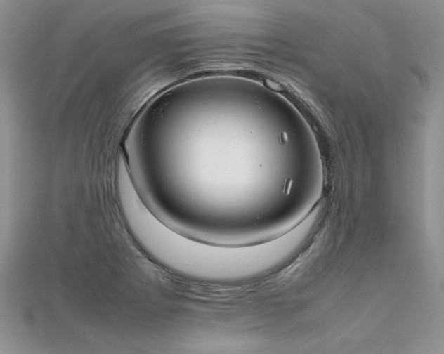 X0000112041273200908101353