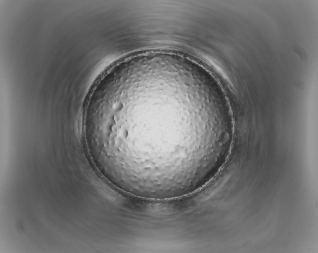 X0000112041275200908101353