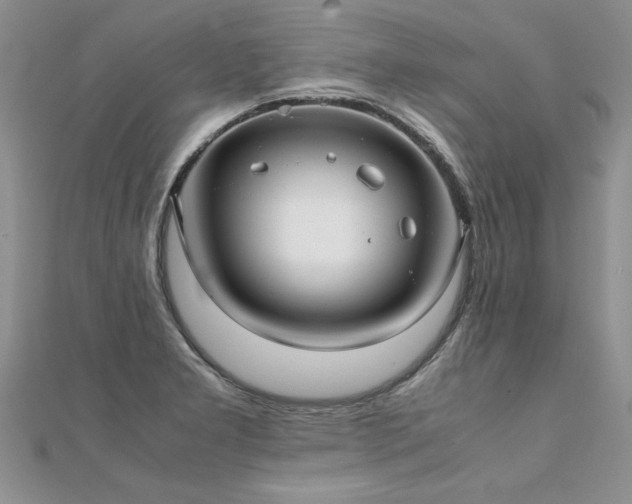X0000112041277200908101353