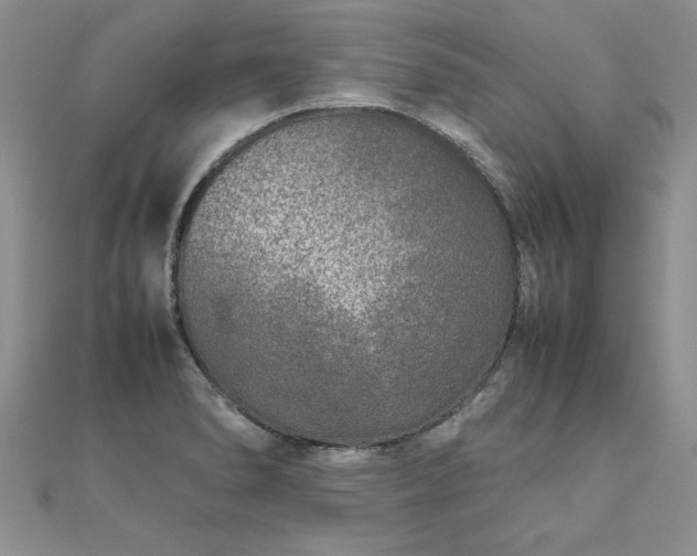 X0000112041278200908101353
