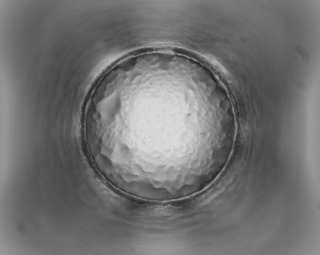 X0000112041279200908101353