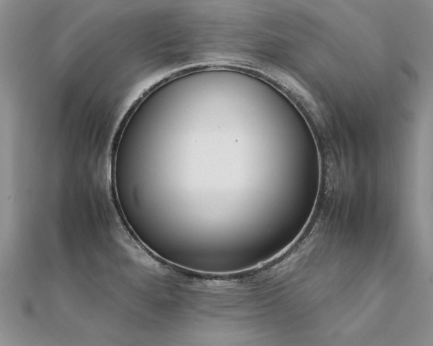 X0000112041280200908101353
