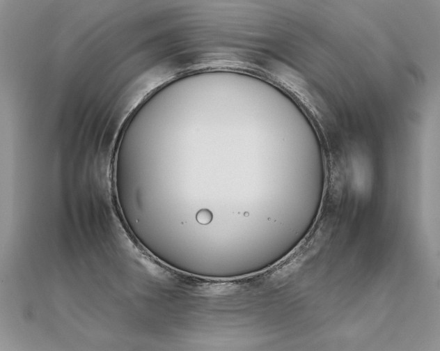 X0000112041282200908101353