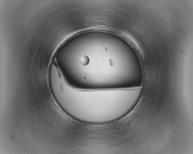 X0000112041284200908101353