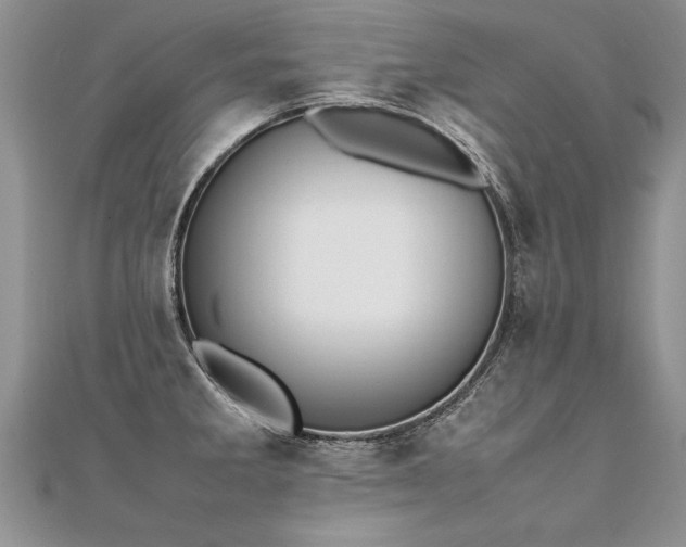 X0000112041285200908101353