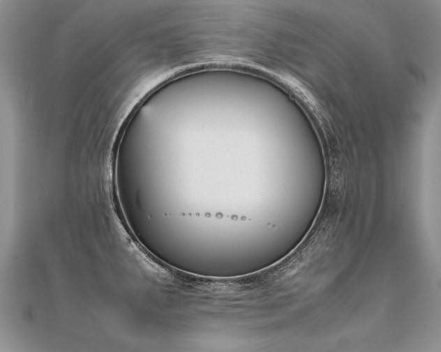 X0000112041287200908101353