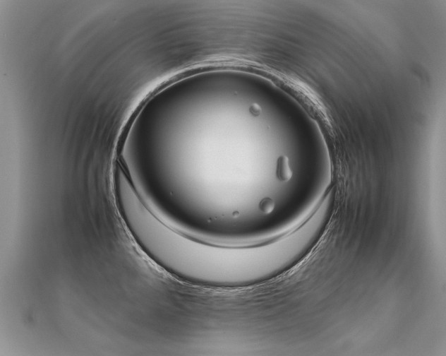 X0000112041288200908101352