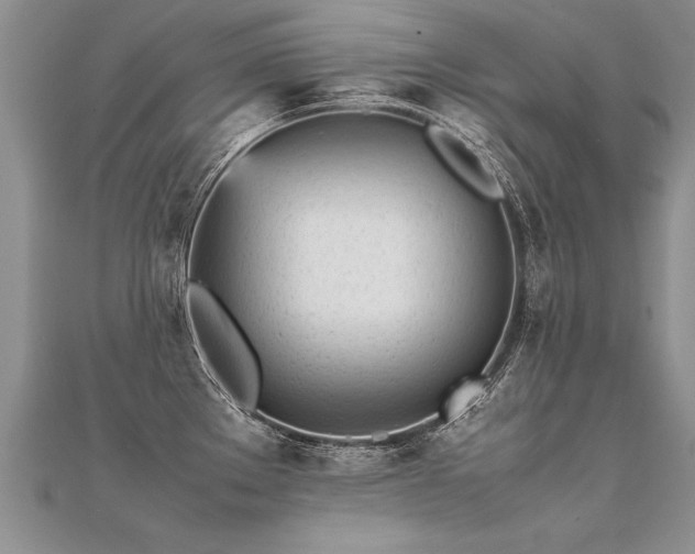 X0000112041289200908101352