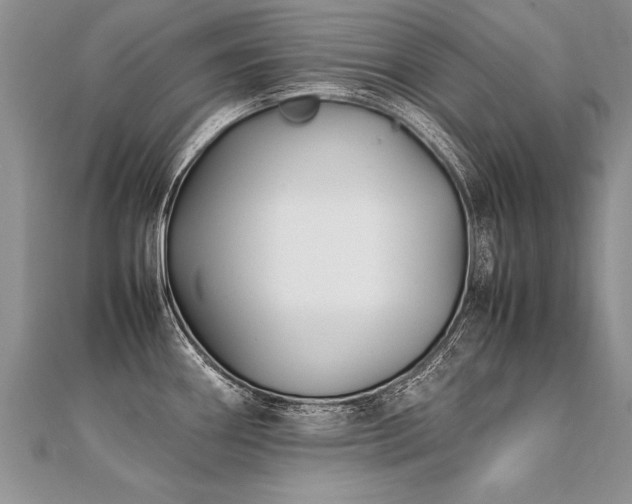 X0000112041290200908101352