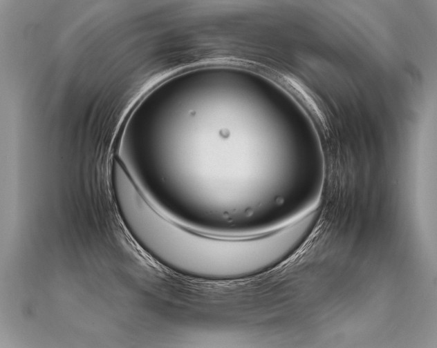 X0000112041292200908101352
