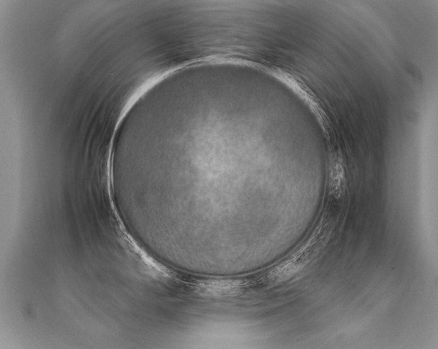 X0000112041294200908101352