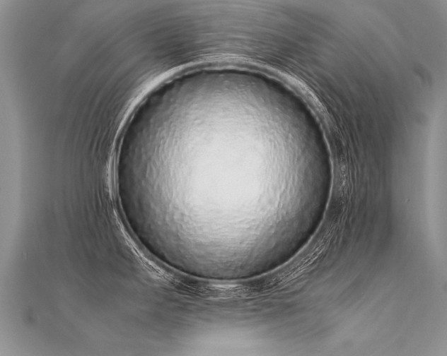 X0000112041295200908101352