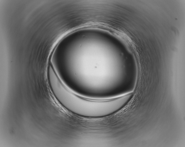 X0000112041296200908101352