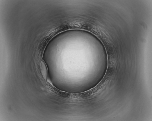 X0000112041297200908101352