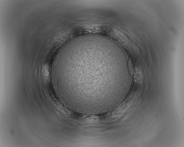 X0000112041298200908101352