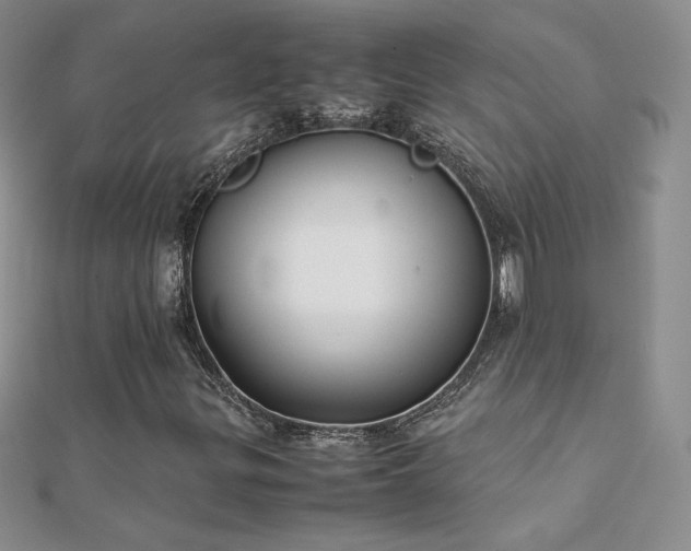 X0000112041299200908101352