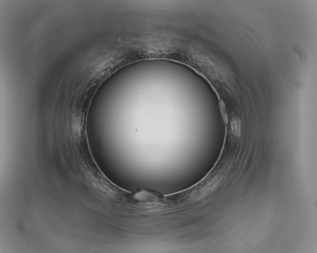 X0000112041300200908101352