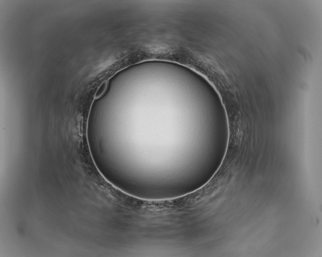 X0000112041301200908101352