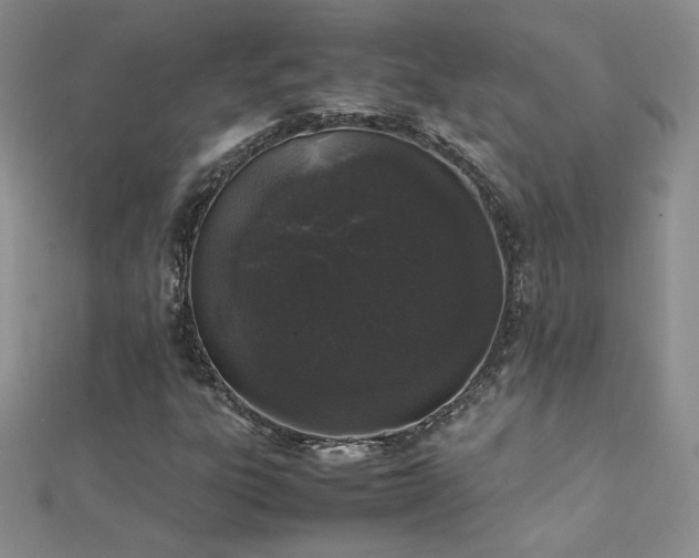 X0000112041303200908101352