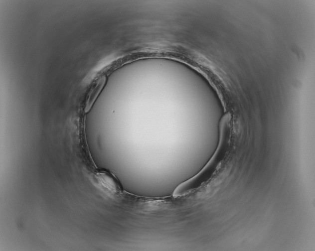 X0000112041304200908101352