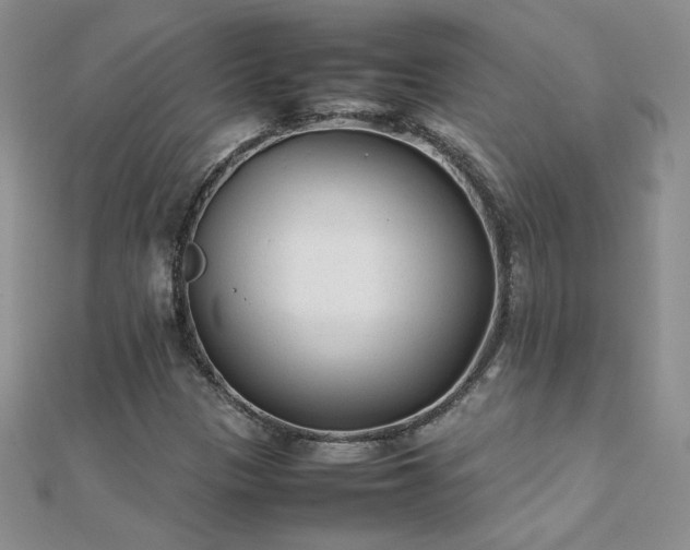 X0000112041305200908101352