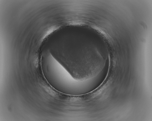 X0000112041306200908101352