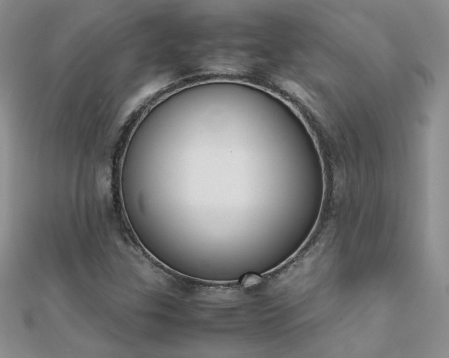 X0000112041307200908101352