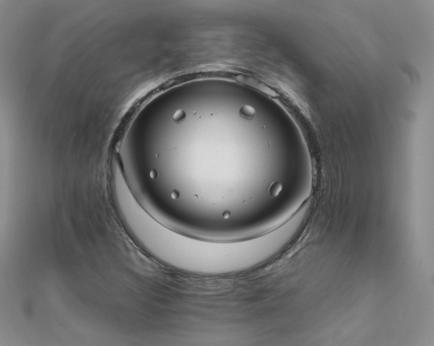X0000112041308200908101352