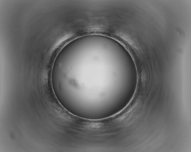 X0000112041309200908101352